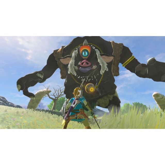Nintendo LEGEND OF ZELDA BOTW Switch 2. Legend Of Zelda Breath Of The Wild Game