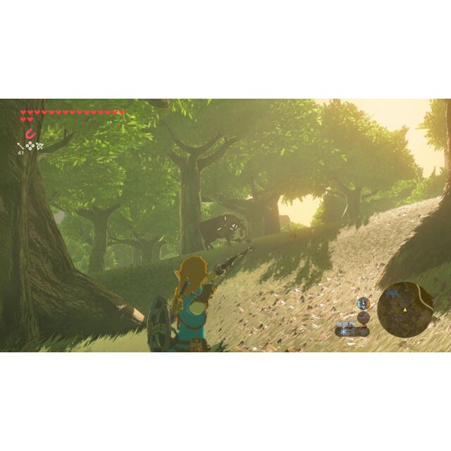 Nintendo LEGEND OF ZELDA BOTW Switch 2. Legend Of Zelda Breath Of The Wild Game