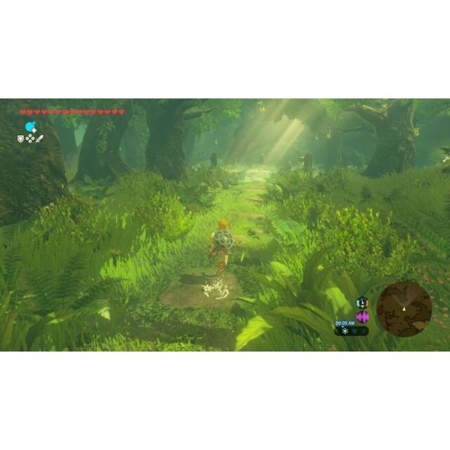 Nintendo LEGEND OF ZELDA BOTW Switch 2. Legend Of Zelda Breath Of The Wild Game