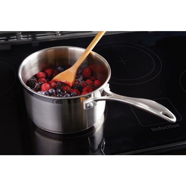 Rangemaster Aga EDL110EISL/C Range Cooker Slate 110cm Induction