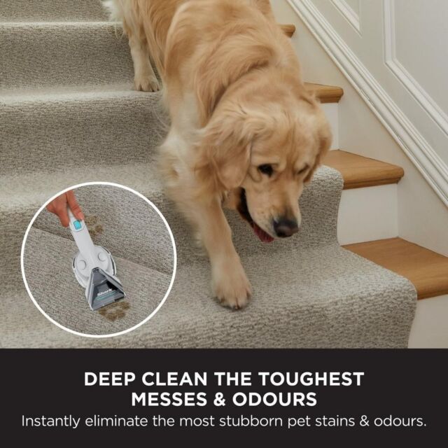 Shark EX200UK Carpetxpert Deep Carpet Cleaner With Built-In Stain Striker - Rotator White