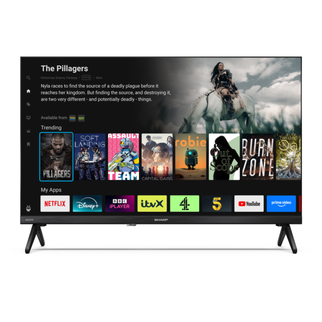 Sharp 1T-C24HE2245KB HDR TV in Black